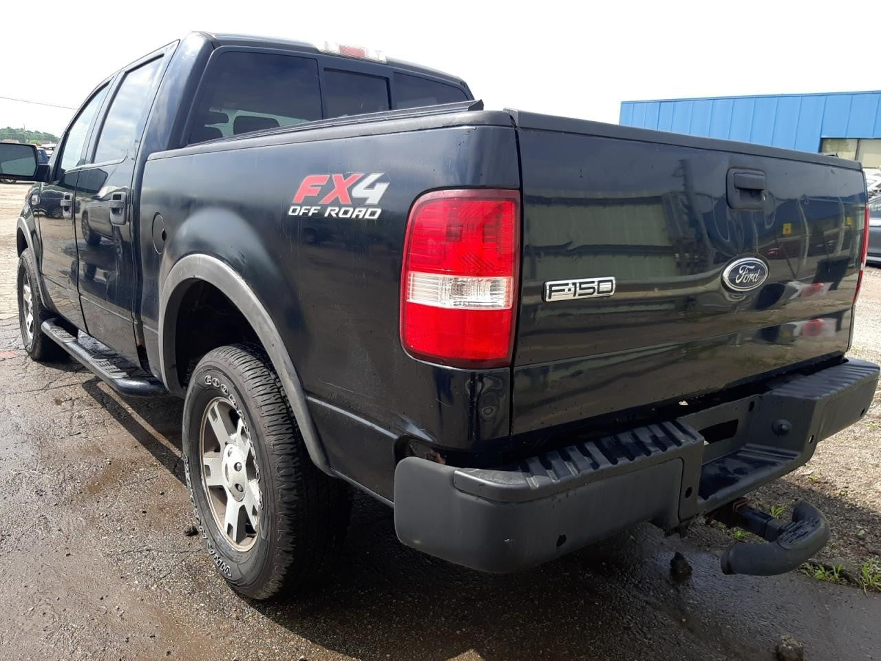 2004-2005 Ford F-150 Driver Rear Door Oem
